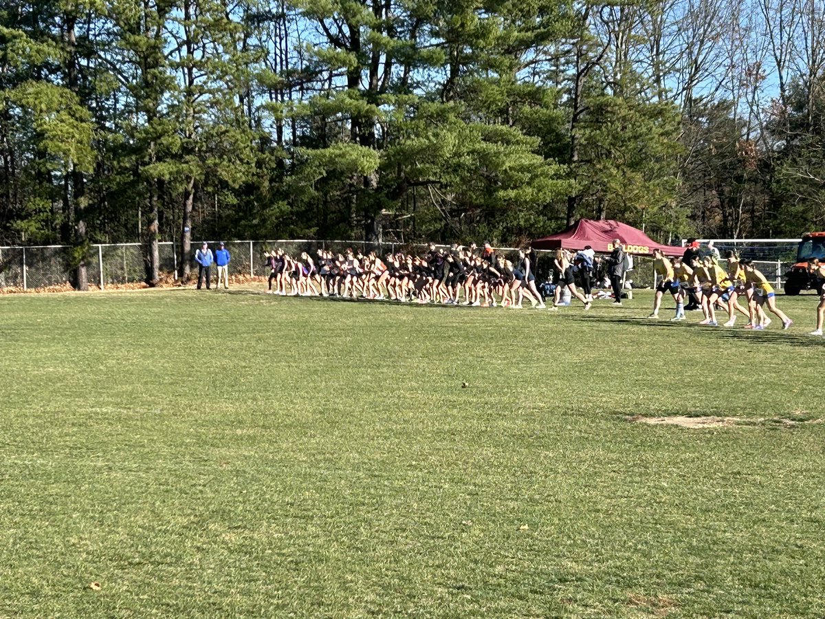 Averill Park Golden Knights tweet media