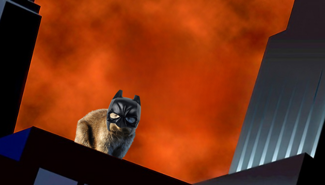 $WOMBAT is here
$WOMBAT is not going anywhere
$WOMBAT is just built different 🦫🆙