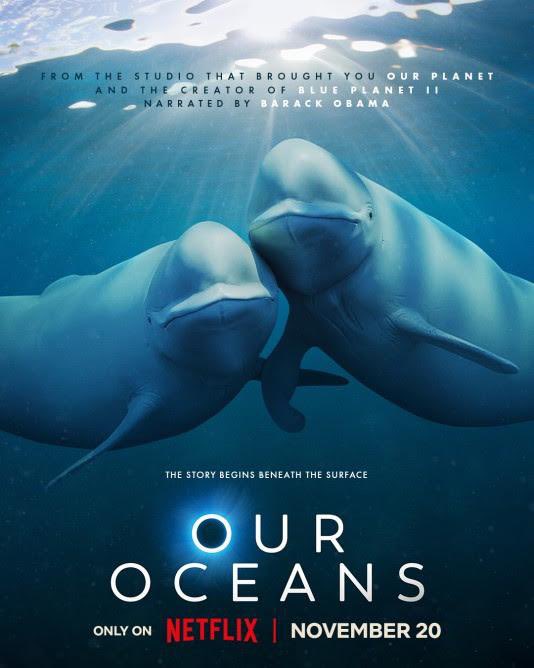 Inka Cresswell (@inkacresswell) on Twitter photo Counting down the days! Our Oceans streaming from Nov 20th, so excited for the world to finally see this series! 5+ years in the making #ouroceans Counting down the days! Our Oceans streaming from Nov 20th, so excited for the world to finally see this series! 5+ years in the making #ouroceans