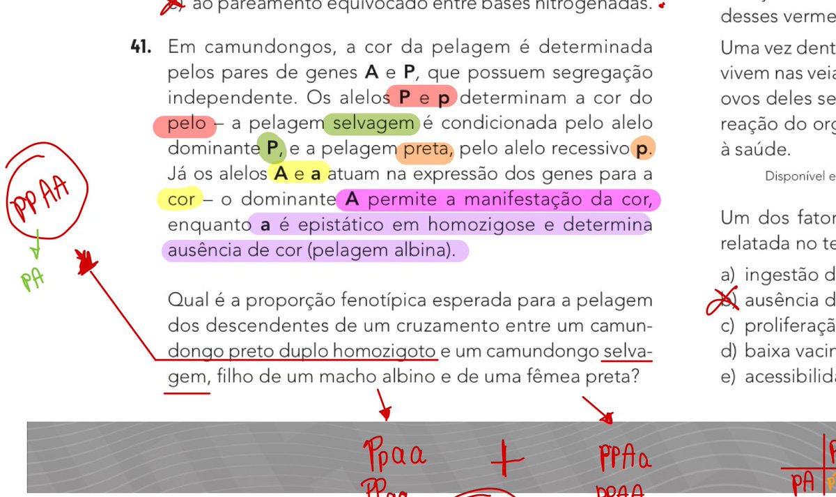 anysnotes's tweet image. que questão linda