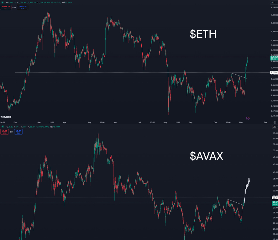 K A L E O tweet media