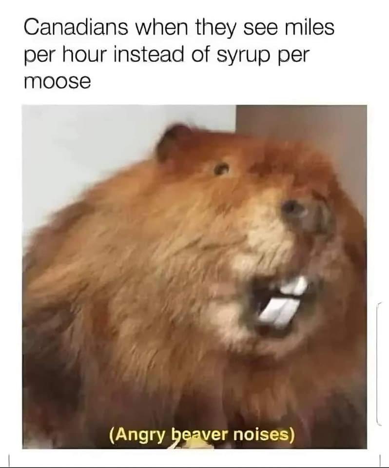 Shaun Tyson (@shaunptyson) on Twitter photo 