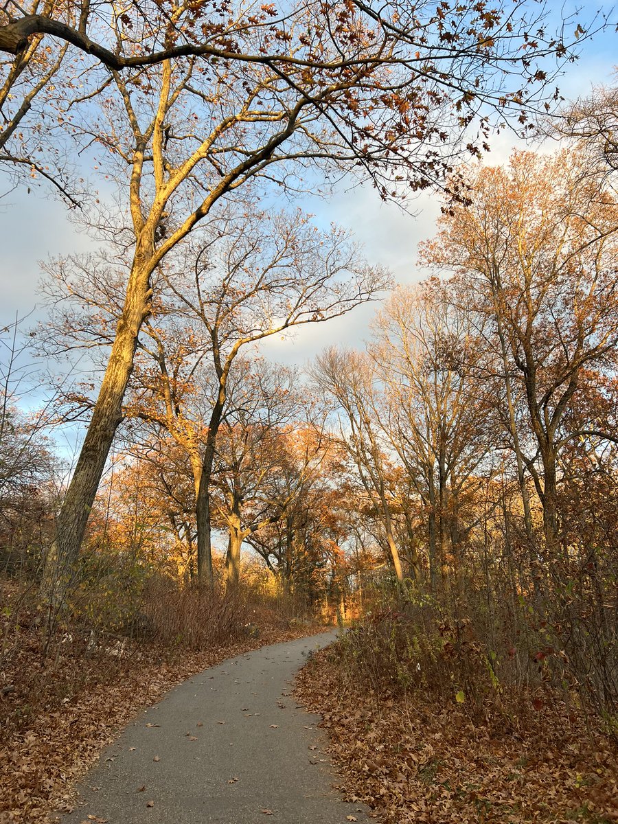 Pretty day in Boston!