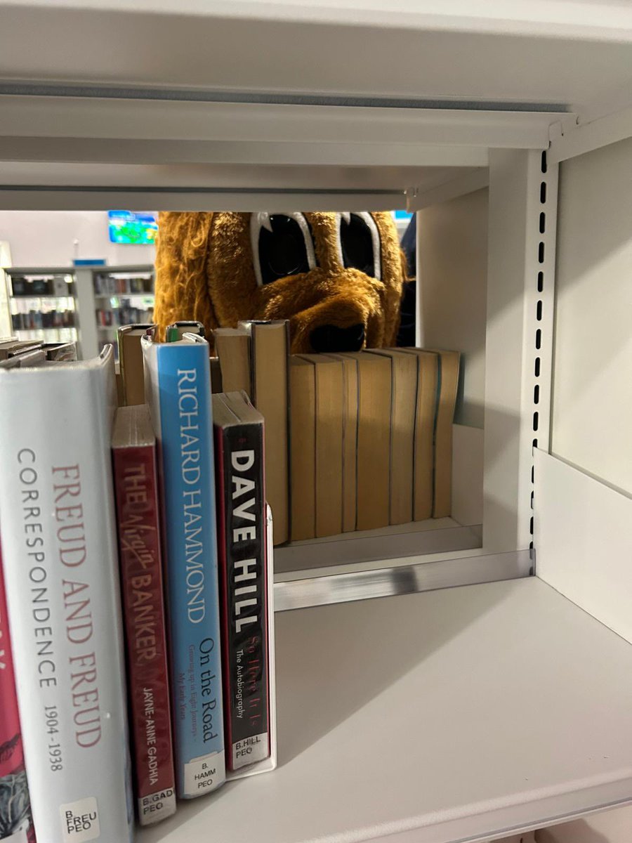 The Original Yorkie tweet media