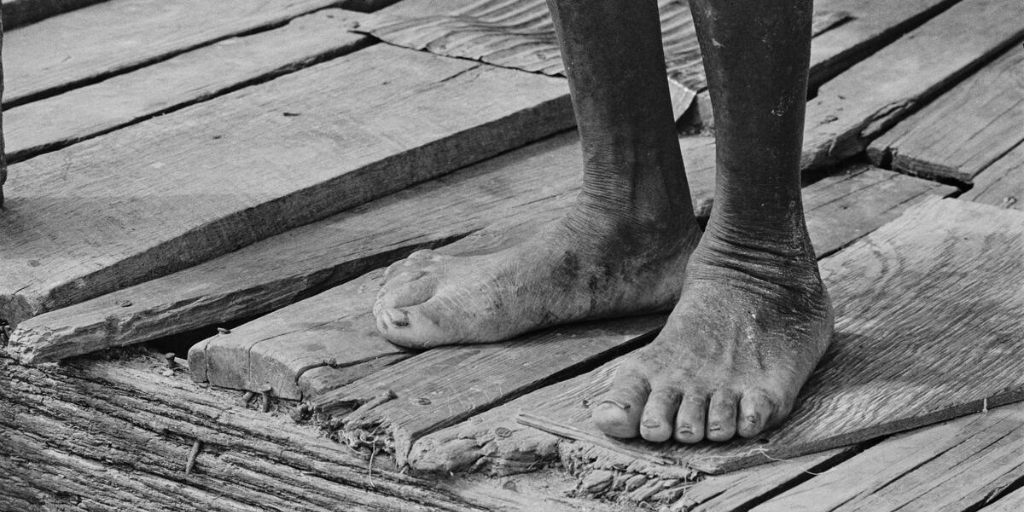 CINE-FILE tweet media