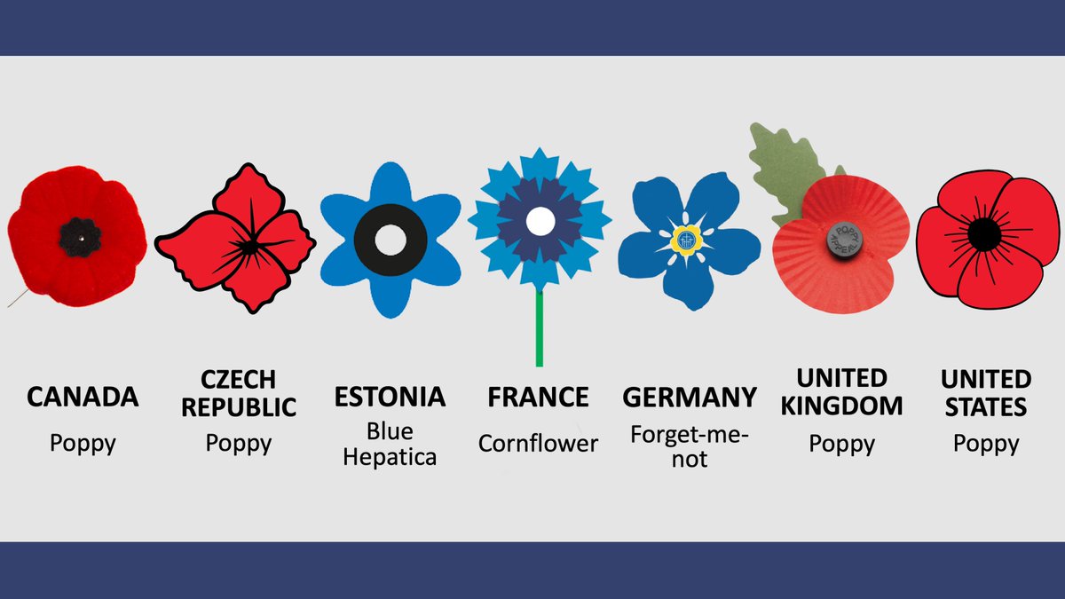 ArmyPost's tweet photo. 🎖️ Their Finest Flower - A visual guide to the remembrance flowers of @NATO allies, following the Czech Republic's adoption of the poppy in 2024

🇨🇦 @RoyalCdnLegion
🇨🇿 @OVV_MO_CR
🇪🇪 https://t.co/deKUL3dpiL🔗
🇫🇷 @BleuetFrance
🇩🇪 @Volksbund
🇬🇧 @PoppyLegion
🇺🇸 @AmericanLegion https://t.co/380dqHvUu6