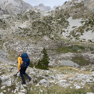 TomorDreshaj's tweet photo. #NewProfilePic https://t.co/J1J6O9bKpe