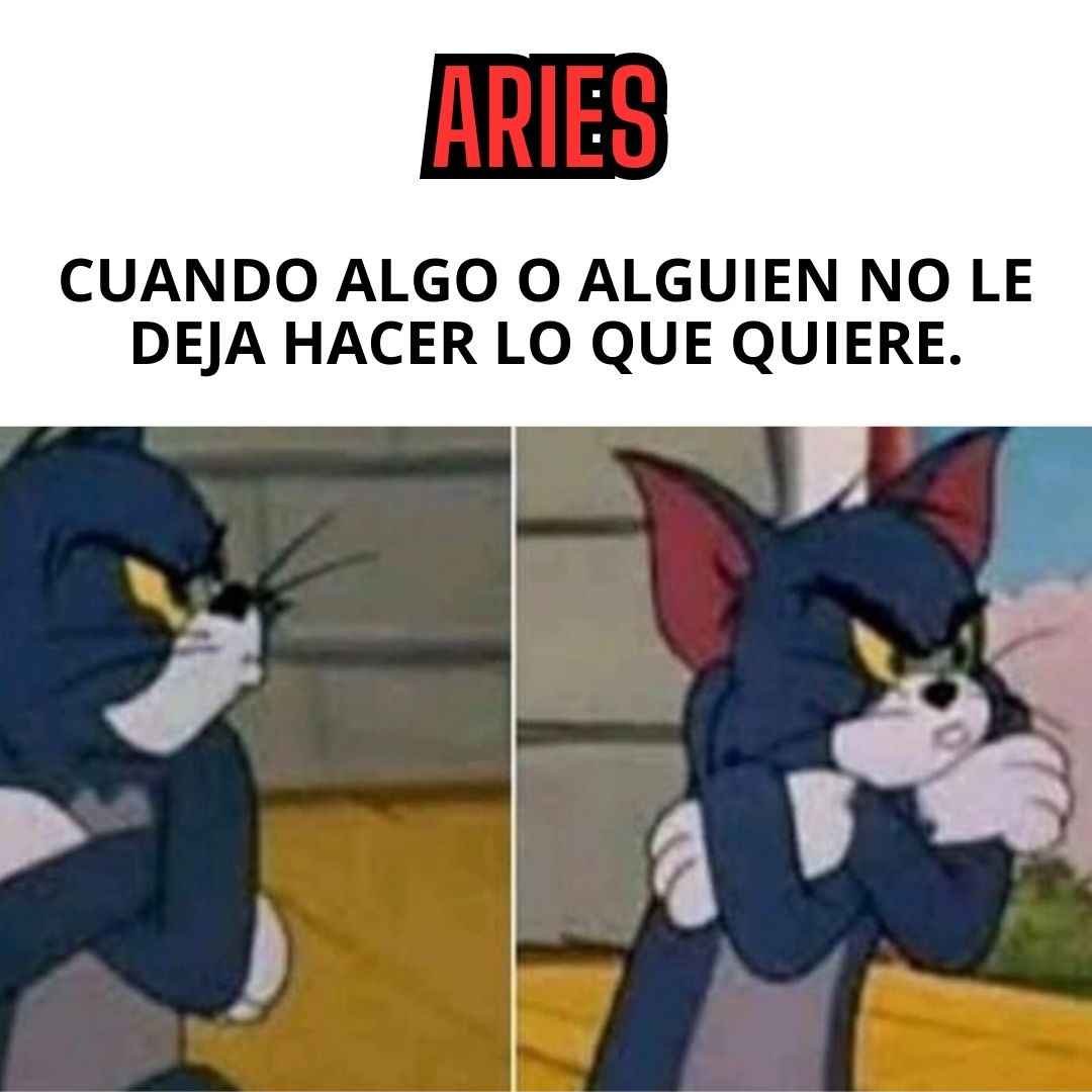 arieshverde's tweet photo. ♈ #Aries https://t.co/3xRa3yVWZS