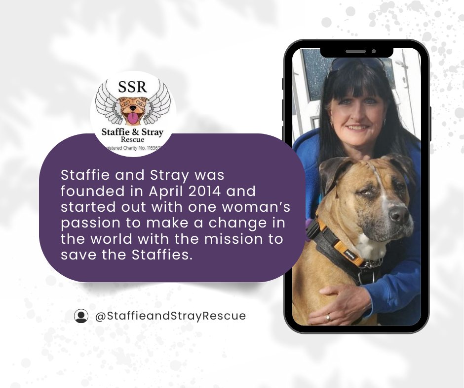 Raffleheroes's tweet photo. This festive season, we're honoured to support Staffie and Stray Rescue, a charity dedicated to providing shelter and care for dogs in need.

Join us in making a difference and spreading some holiday cheer for our furry friends by purchasing a ticket now. 

#supportcharity https://t.co/tIhplq8kjX