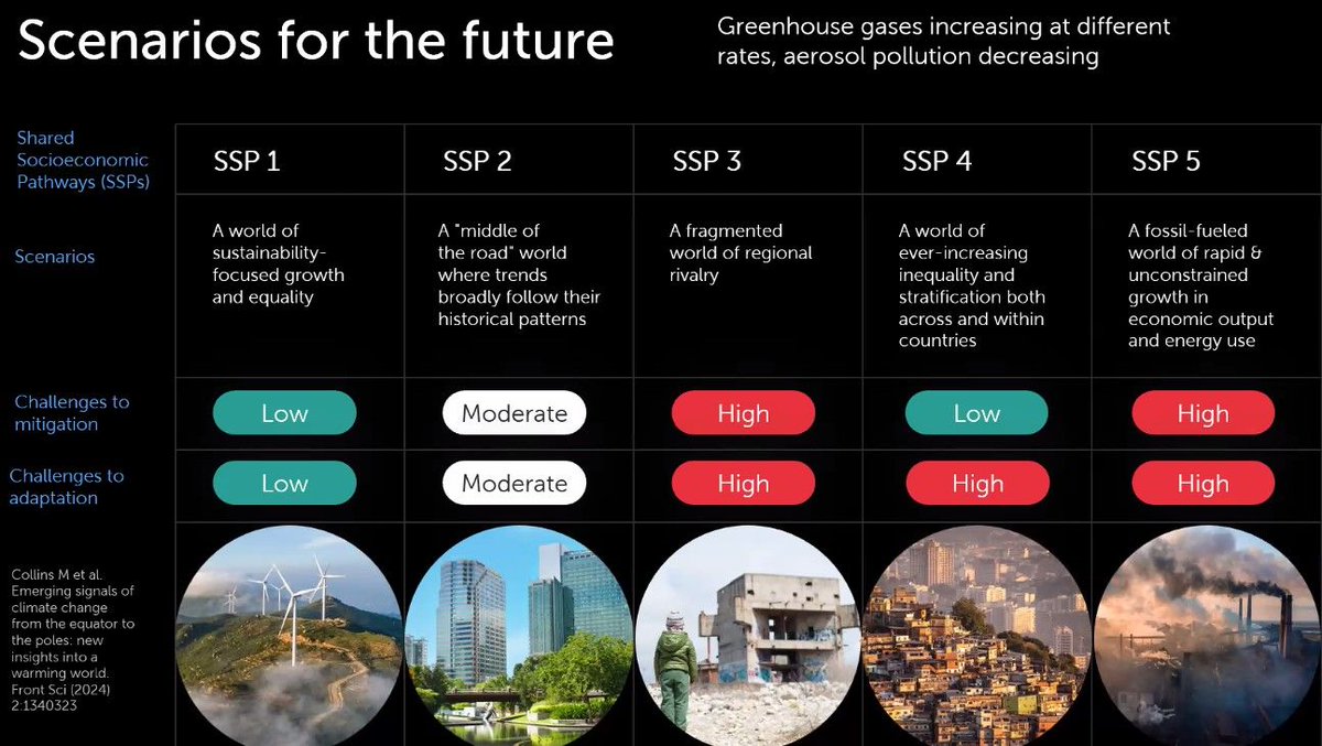 Melissa Paola Mezzari, Ph.D. tweet media