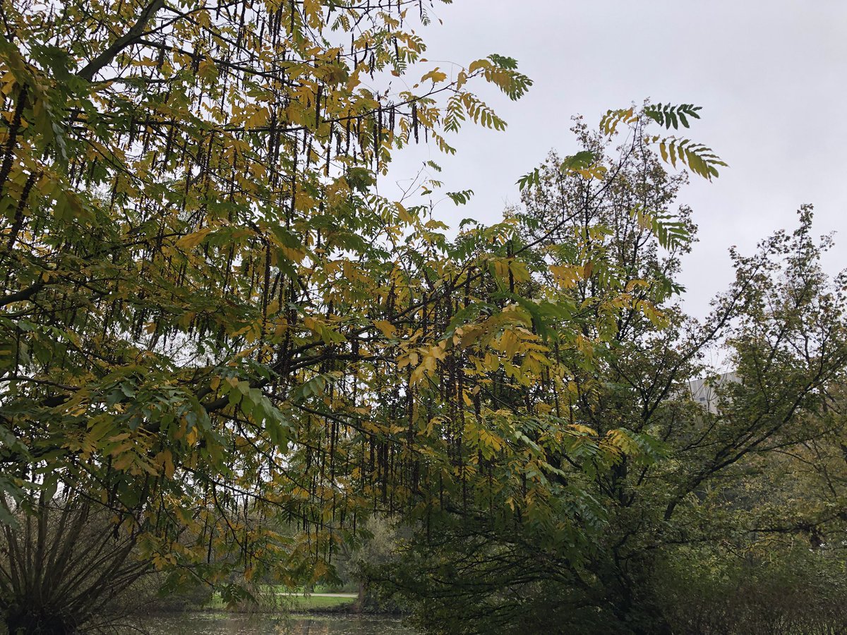 Dijkgedicht in Flevopark: nog net te lezen, maar nog heel goed te beluisteren op agv.nl/nieuws/2024/se…
Dankzij de verbetering van de dijken door <a href="/waterschapagv/">Waterschap AGV</a> zal het park in al zijn pracht nog decennia bestaan.