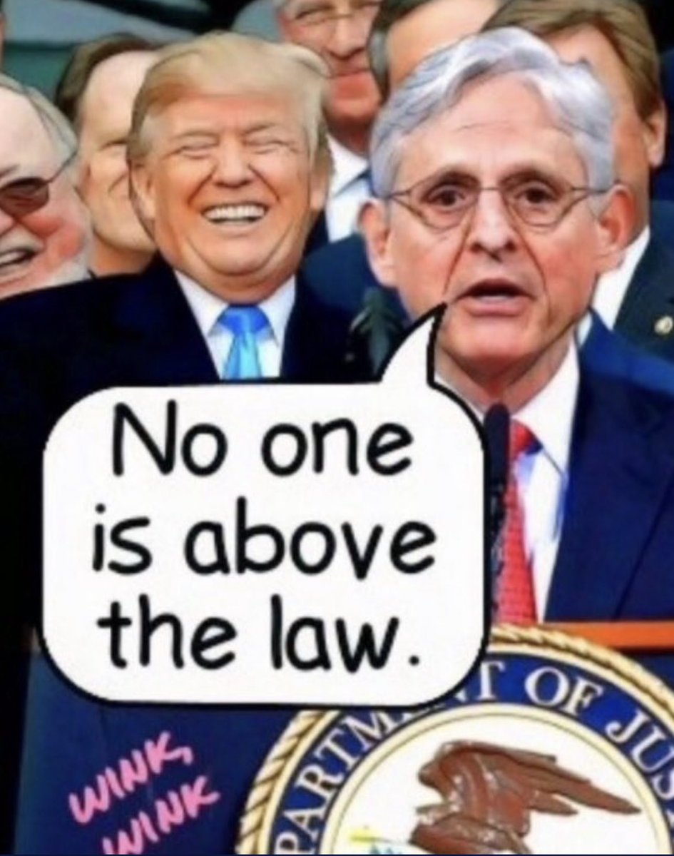 ForestintheF's tweet photo. Nobody in American history has affected and impacted an election,more than Merrick Garland @TheJusticeDept! Not even dipshit Donny @realDonaldTrump himself! #MerricksACoward #TrumpsATraitor #TrumpsADumbass #VetsAgainstMAGA https://t.co/HUujOgpjfz