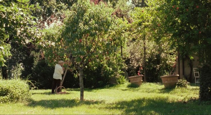 visionsinfilm's tweet photo. already missing summer https://t.co/glsLtX0on2