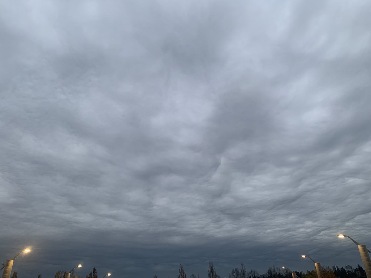 PatShipper's tweet photo. ท้องฟ้าสวยแปลก เมฆเป็นคลื่นๆ    The clouds look different in Vancouver 🇨🇦🍂🍁 https://t.co/h1mi1eOYPU