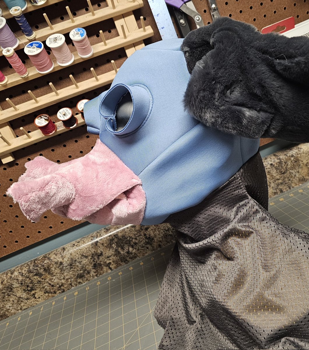 🍌MONKE🍌 tweet media