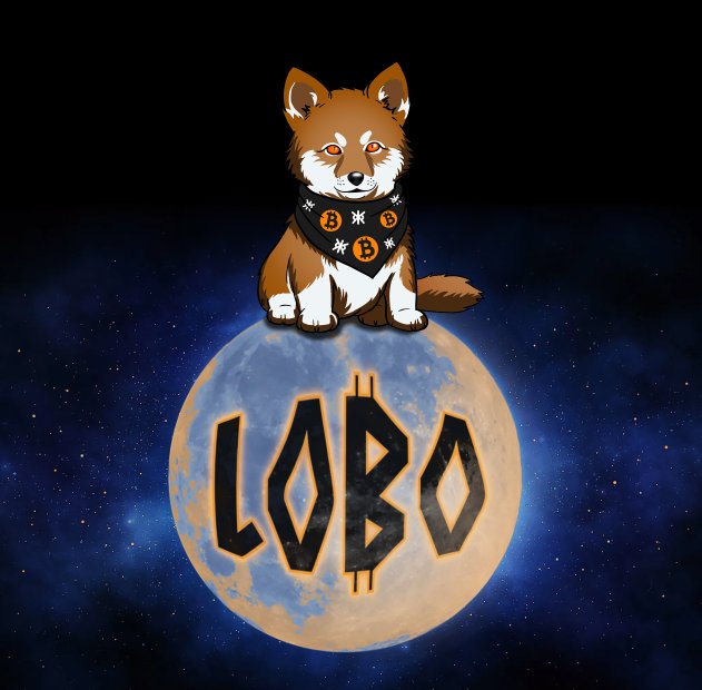 DarkDegenCoin's tweet photo. $LOBO has been unleashed on the most secure network: Bitcoin. Don’t say we didn’t warn you when it takes over everything. 🐺💥 #LOBOtoTheMoon #MissionInProgress https://t.co/QMfbprDmzD