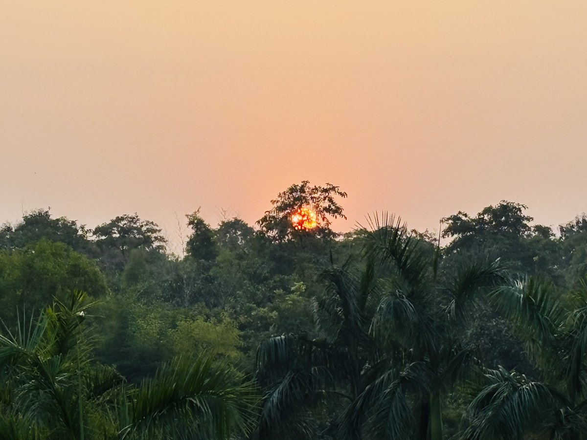 chergoesvoting's tweet photo. It was beautiful https://t.co/CbI2icsGQZ