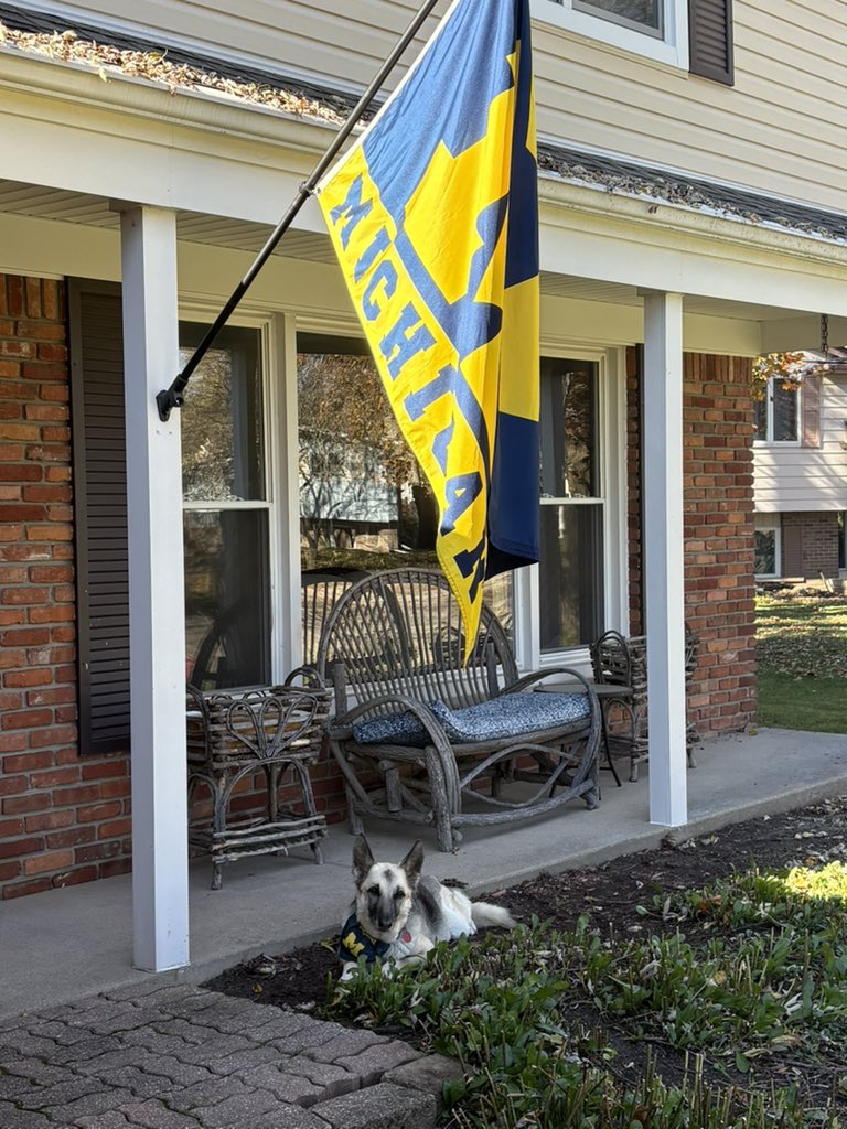 DMac9965's tweet image. Had to say goodbye to my best friend! 13 1/2 great years!
R.I.P Elle🥹 #GoBlue #DogHeaven #NoMorePain