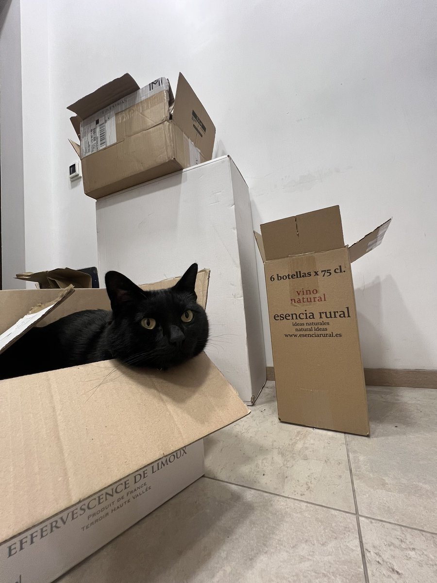 Mission_Pilot tweet media