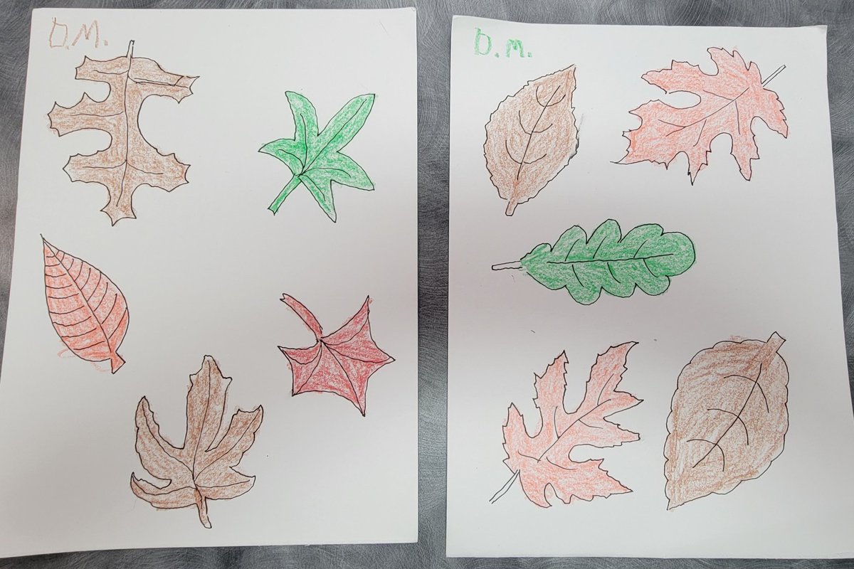 David is here coloring! I drew him some leaves. Come and join us for the creative fun! #Thanksgiving #leaves #coloring