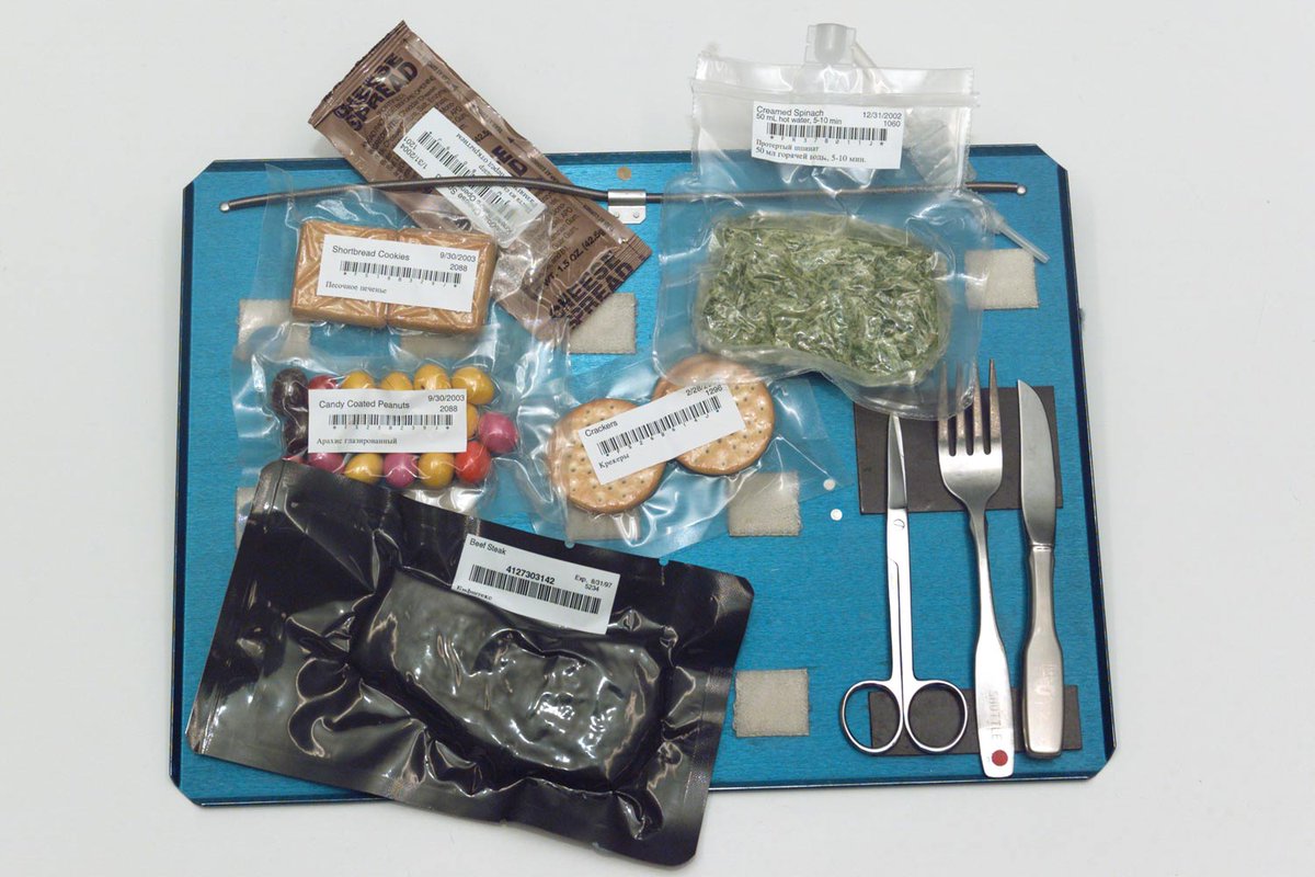 IntrepidMuseum's tweet photo. Ever wondered what astronauts eat in space? Meet Vickie Kloeris, a food scientist and November 17's #AstroLive guest!
With 34 years at @NASA, Kloeris created meals that were tasty, nutritious, long-lasting and easy to prepare - all to meet the dietary and psychological needs of astronauts on the space station. Who’s hungry?
🚀🍕: https://t.co/dZqkwhOOOB
