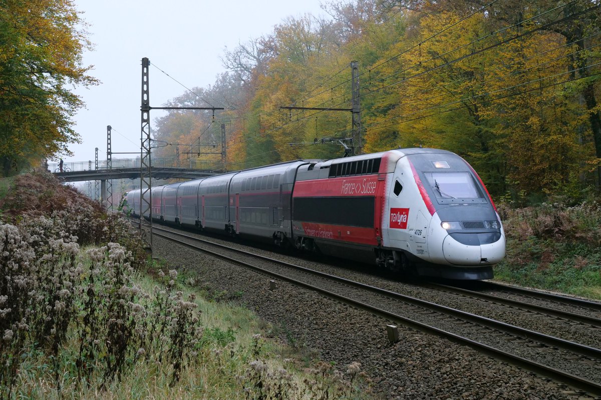 BMazerolles's tweet photo. La forêt de Fontainebleau n'a jamais vu passer autant de TGV ! https://t.co/8KhDNq7Jtq