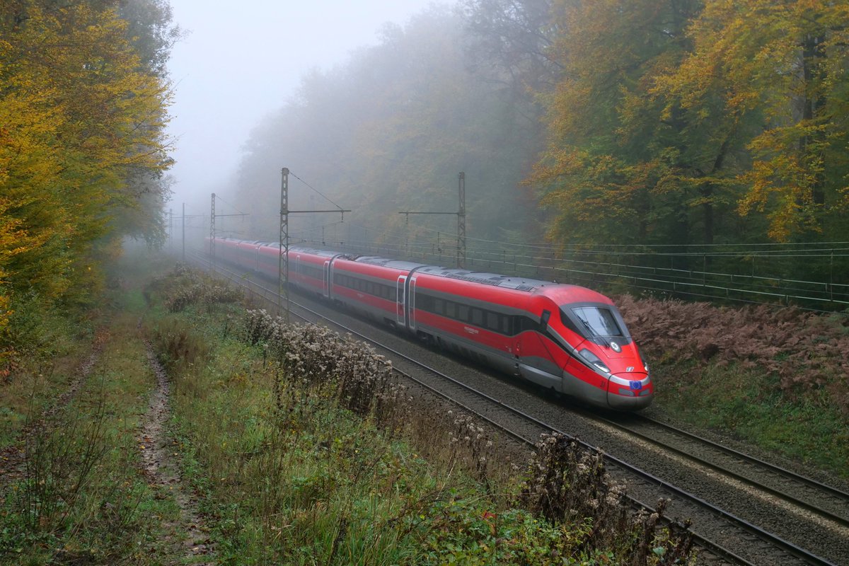 La forêt de Fontainebleau n'a jamais vu passer autant de TGV !