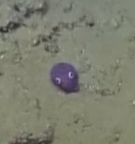 Darkunn_ tweet media