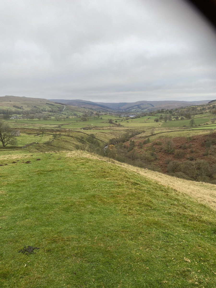 Yet another day of Dunkelflaute and no sign it is going to change shortly.