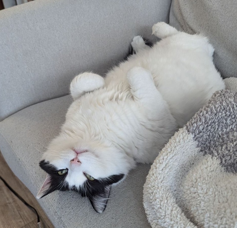 Heather C tweet media