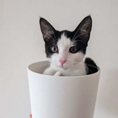 #NewProfilePic