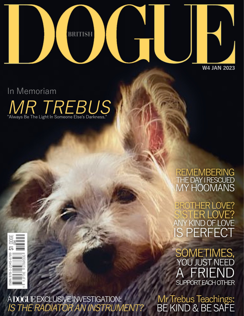 PetMagCovers's tweet photo. In case you missed it, Angel Trebus was also featured on other two Magazine covers: DOGUE (Jan 2023) & PAWSMOPOLITAN Babushka Week (Aug 2023).
#Dogs #Pet #Magazine #Covers #Trebus #Treebs https://t.co/wDSn1UIECq