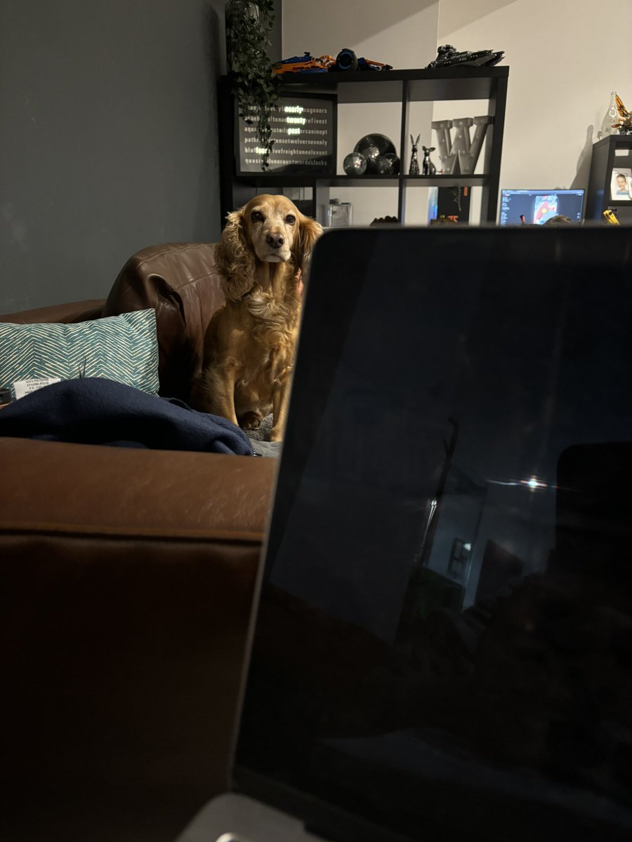 NickyWestSLT's tweet photo. Tell me youโre an independent #SLT working out of hours with a dog who does not approve, without telling me youโre a #Speechandlanguagetherapist
#wespeechies #mySLTday #weAHPs #workingweekend #dogsofX #speechtherapy https://t.co/17M5rexQ3p