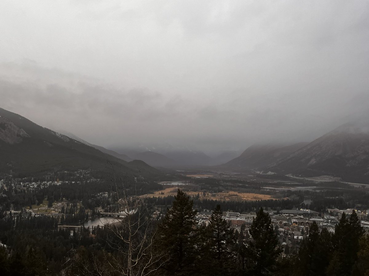 We have Yorkshire conditions 🙃