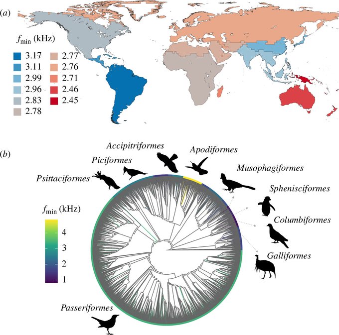 Royal Society Publishing (@rsocpublishing) on Twitter photo Global analysis of acoustic frequency characteristics in #birds: ow.ly/okWW50U1l8M #ProcB
<a href="/anand97aakash/">Akash Anand</a> <a href="/MPersche/">Maia Persche</a> <a href="/A_M_Pidgeon/">Anna Pidgeon</a> @ZuckerbergLab <a href="/sekercioglu/">Çağan H. Şekercioğlu</a> @z_burivalova #Ecology Global analysis of acoustic frequency characteristics in #birds: ow.ly/okWW50U1l8M #ProcB
<a href="/anand97aakash/">Akash Anand</a> <a href="/MPersche/">Maia Persche</a> <a href="/A_M_Pidgeon/">Anna Pidgeon</a> @ZuckerbergLab <a href="/sekercioglu/">Çağan H. Şekercioğlu</a> @z_burivalova #Ecology