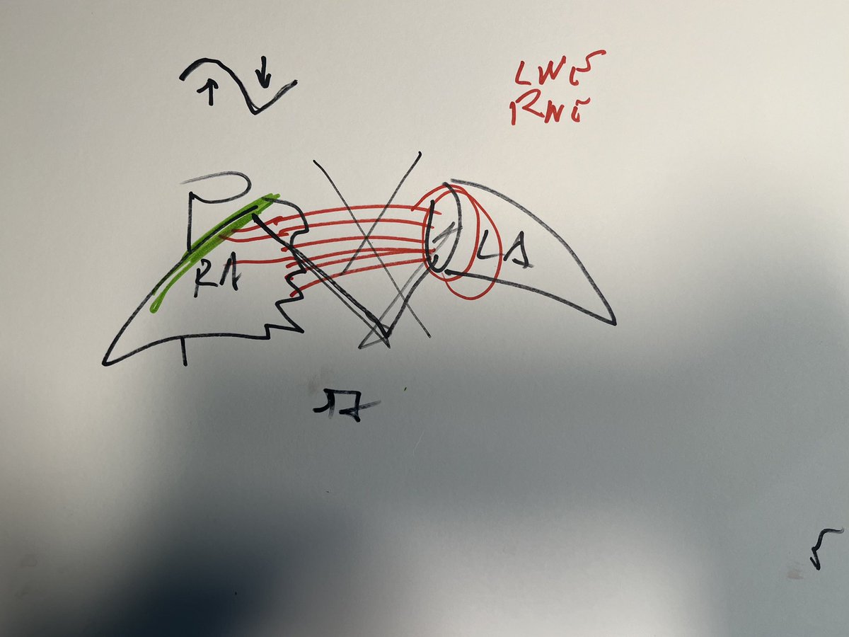 Great start of the BeEP Program at the kick-off session in Madrid! 
Thanks <a href="/jacabreracardio/">Dr. José Ángel Cabrera</a> for the amazing anatomy class 🫀🎨 and the rest of colleagues to make it possible..