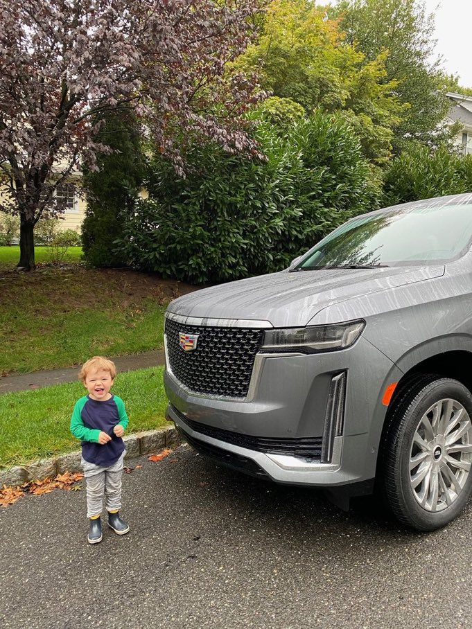 Ya sabéis niños, en la calle debéis ir con mil ojos, para que los fabricantes de coches puedan seguir haciéndolos cada vez más peligrosos.