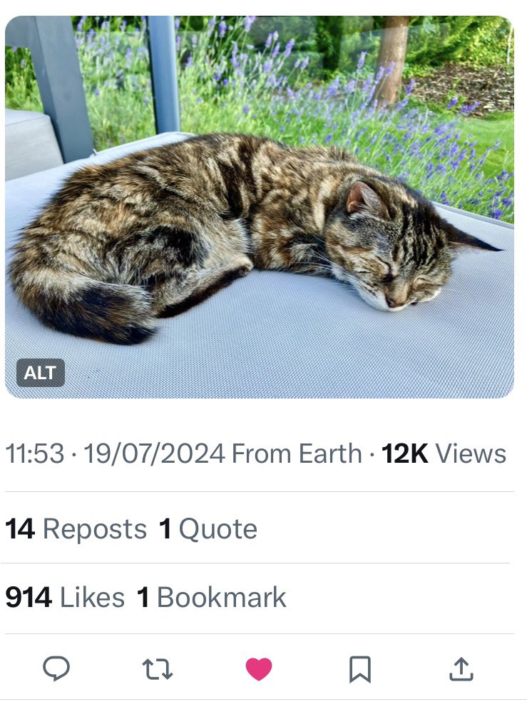 CatCope77's tweet photo. I’m sad to say our lovely cat, Pan, who was @SusanCalman #catoftheday back in July has passed today at the age of 18 years. We loved her as a rescue cat for the past 6 years and we’re thankful of a quiet and peaceful end. Love you, little one. 🐾❤️ https://t.co/ecRa0A5hYA