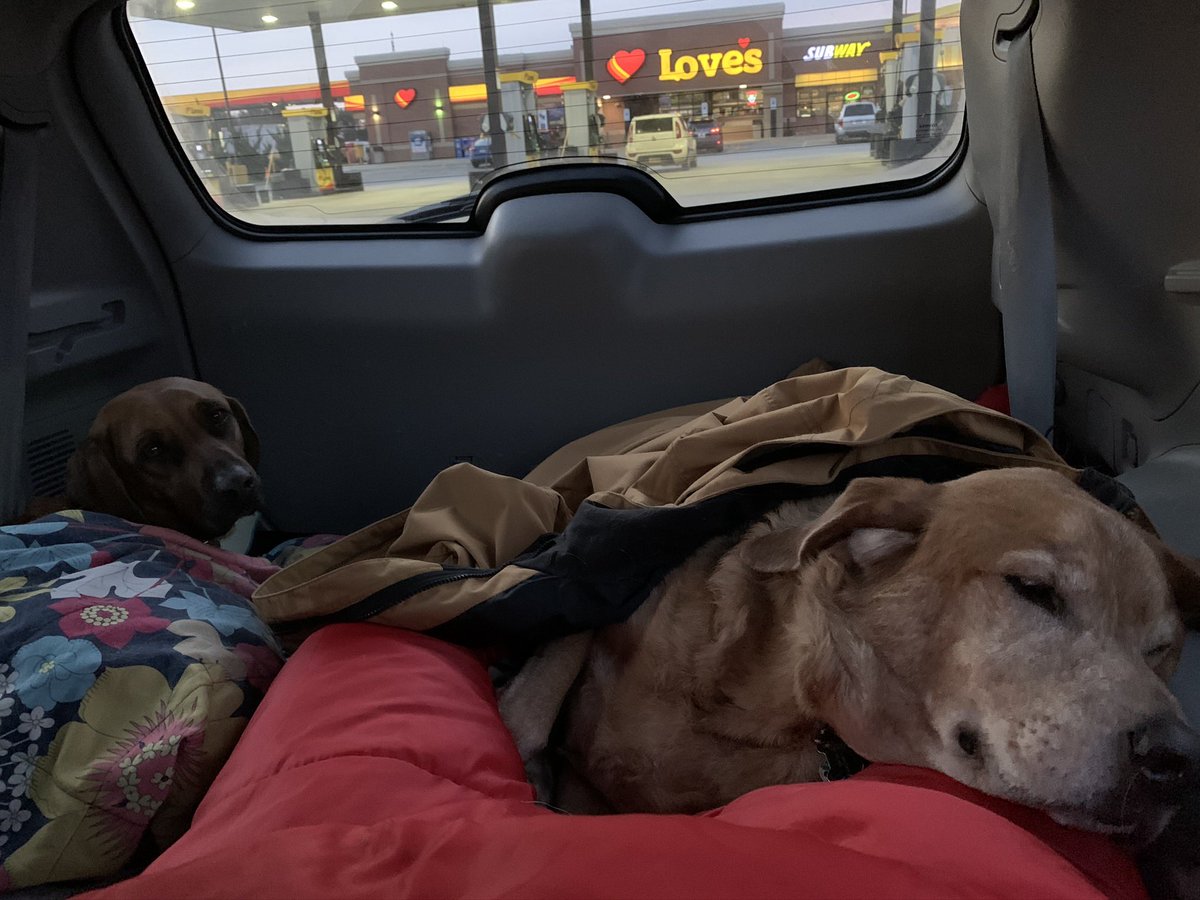 Charles Wesley Godwin tweet media