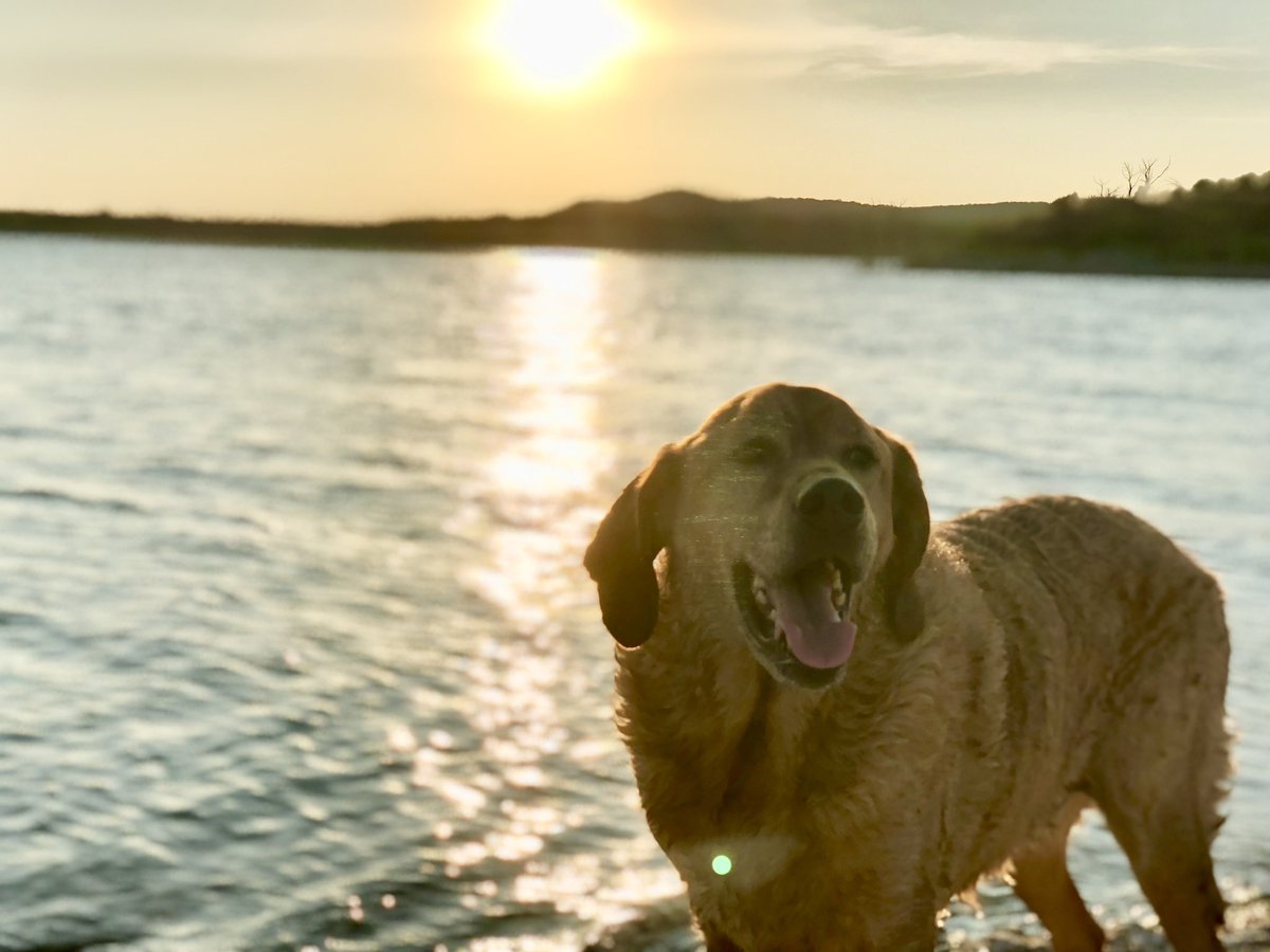 Charles Wesley Godwin tweet media