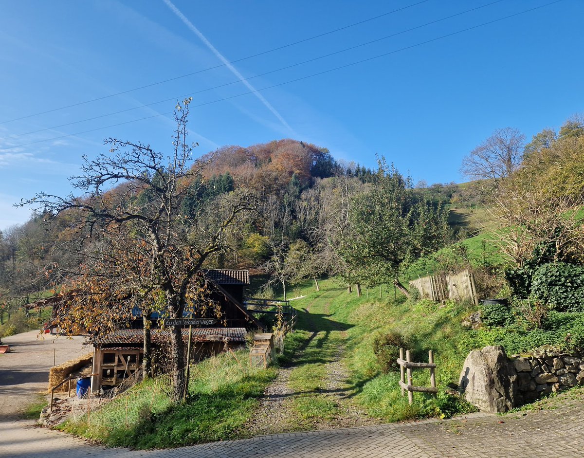 Manfred Jung tweet media