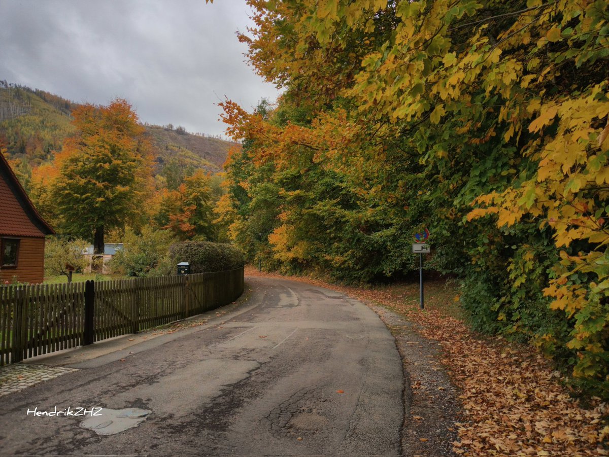 HendrikZHZ's tweet photo. #Ilsenburg #Harz #Autumn #Nature https://t.co/j65dW8zqQx
