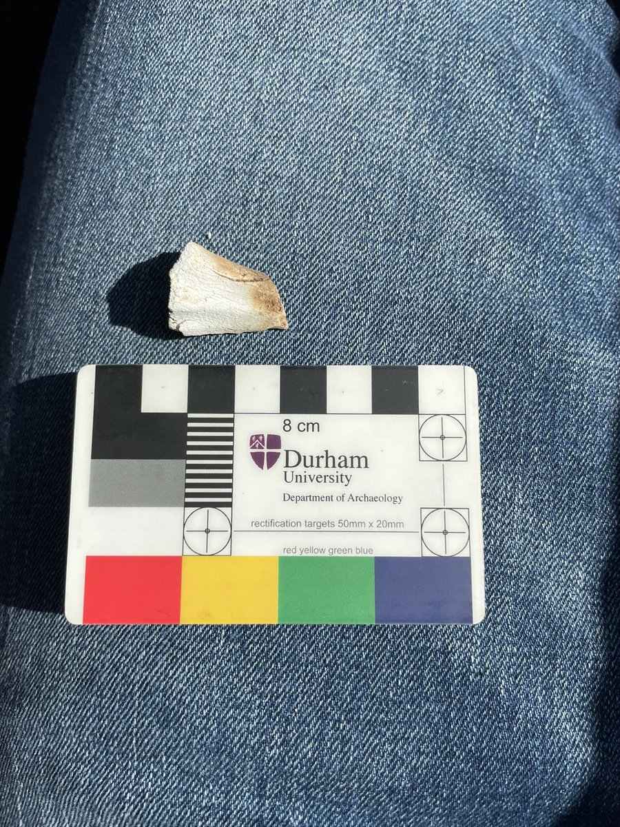 Oh you know, just field work with FEMA.