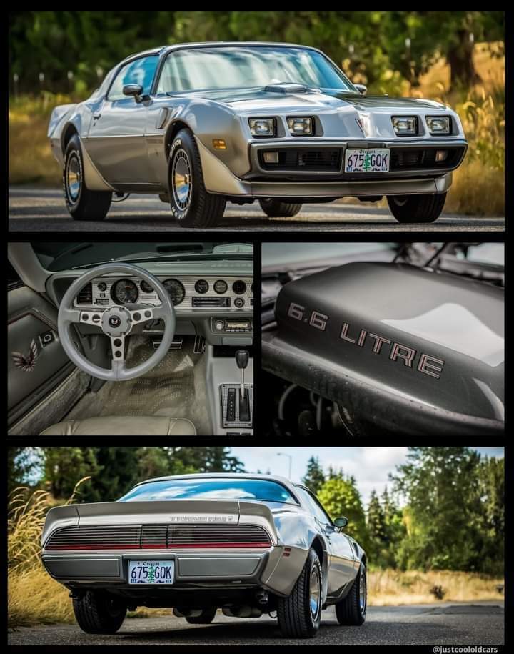 Dope or nope? Pontiac TransAm