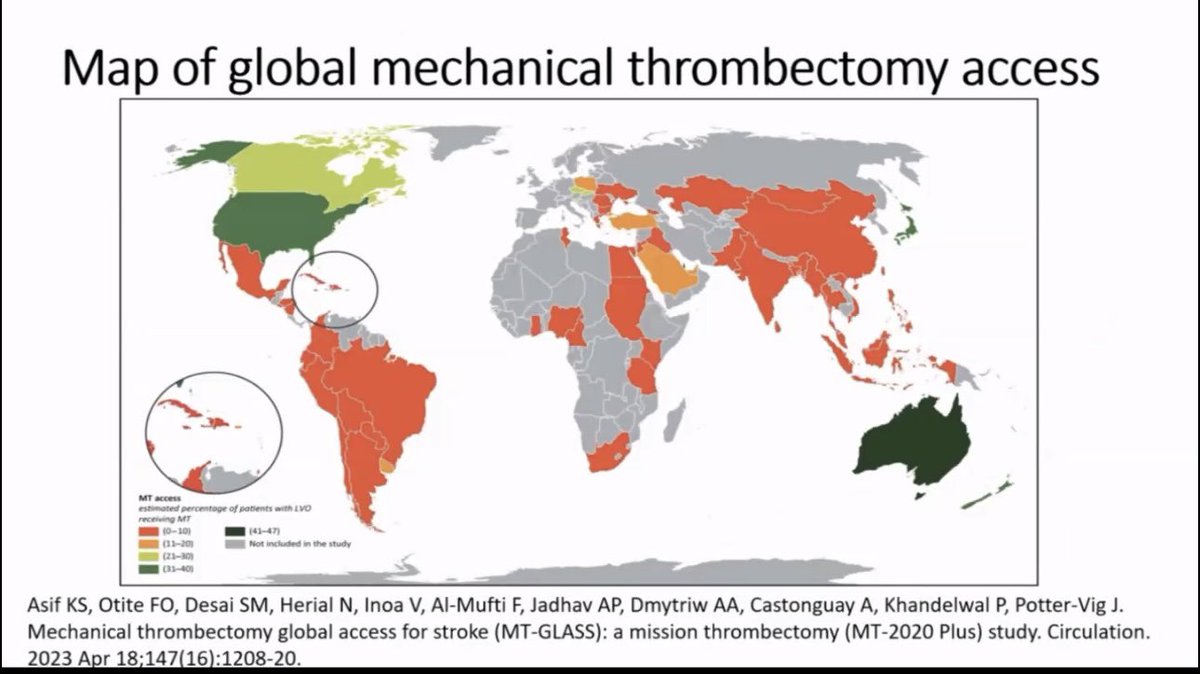 AOther great talk: “Building Thrombectomy Systems in Sub-Saharan Africa" - Prof. Mayowa Owolabi shares insights on the importance of addressing stroke treatment disparities across Africa. #WorldStrokeDay #StrokeAwareness

🚨 Did you know? In Sub-Saharan Africa, ischemic stroke