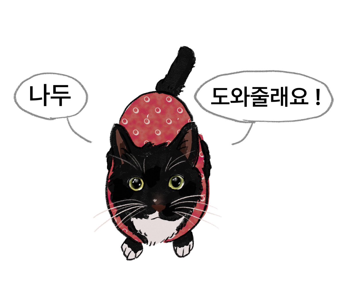 이제서야 올리는 김장올리