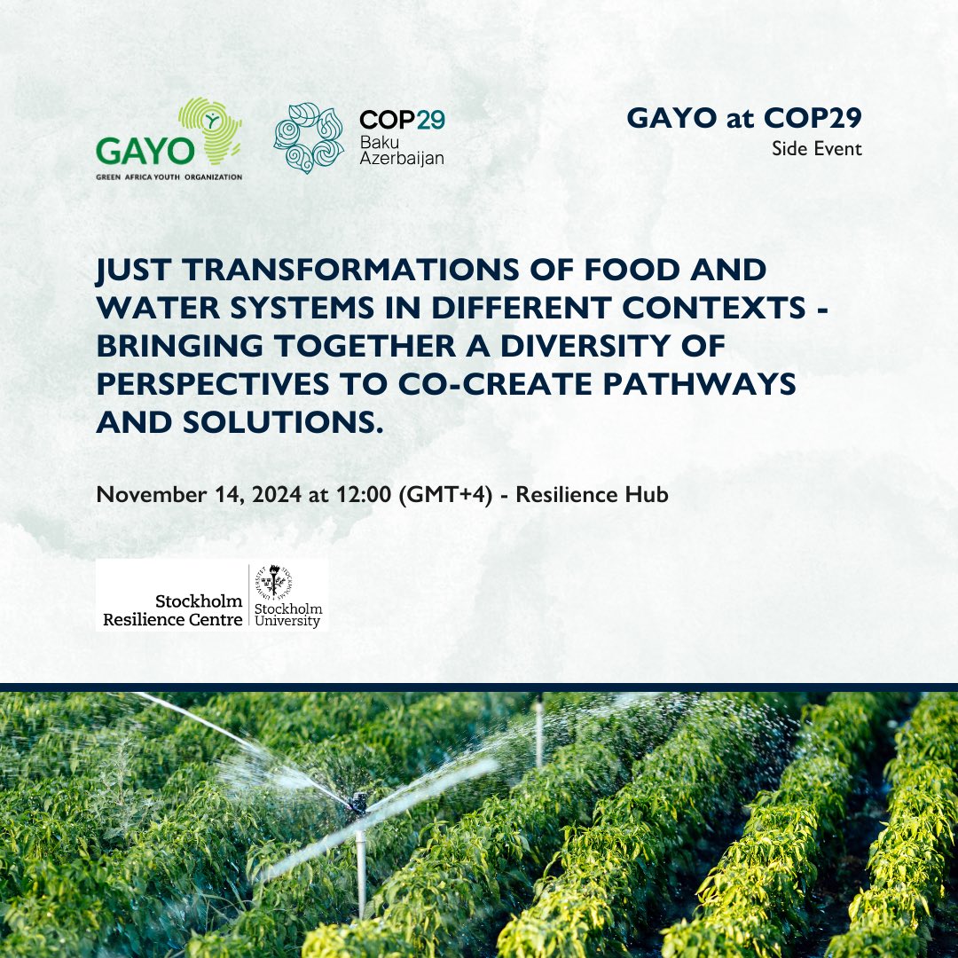 gayoghana's tweet photo. We are at #COP29 discussing JUST transformations in #food &amp; water systems. Join us to explore equitable, community-driven solutions!

#GAYOatCOP29 #COP29Azerbaijan https://t.co/JdQ393BMKj