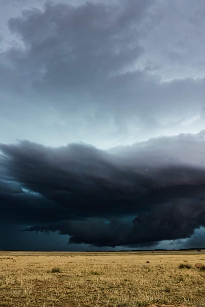 ReenvalSA's tweet photo. We had this massive #thunderstorm today that just grazed past us on Benfontein Farm, #Kimberley. It was soo dark and green to which i believe is an indication of #hail in the cell. It was situated to the South af the farm between #HopeBCTown and #Jacobsdal
📷Stephan Horn https://t.co/orLC3lb3Rb