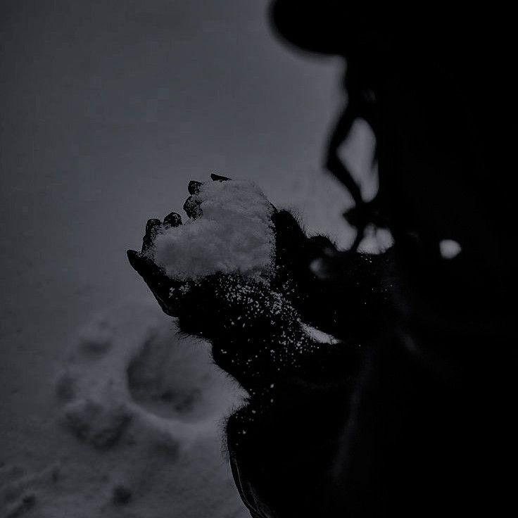 How are y'all doing?