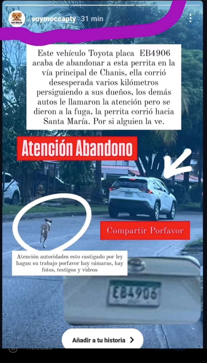 retweetpty151's tweet photo. @Mayer supuestamente abandonaron a este perro , #pty #Panama https://t.co/8TbFpLkDLO